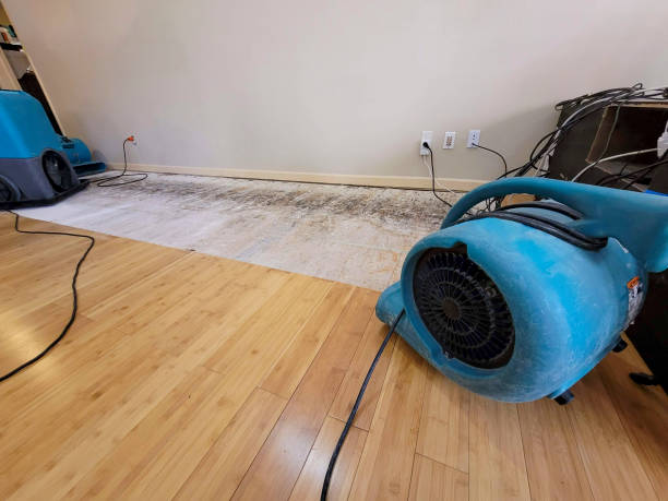 Professional Ceiling Water Damage Repair technician working in Centerville, MN
